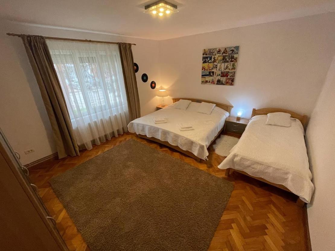Crisan 40 Casa Muntean 100Mp 3Camere 3Paturi 1 Canapea 2 Dormitoare Parcare Timişoara Buitenkant foto
