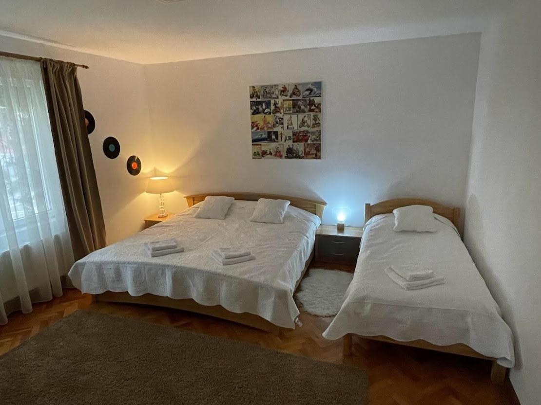 Crisan 40 Casa Muntean 100Mp 3Camere 3Paturi 1 Canapea 2 Dormitoare Parcare Timişoara Buitenkant foto