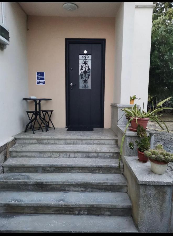 Crisan 40 Casa Muntean 100Mp 3Camere 3Paturi 1 Canapea 2 Dormitoare Parcare Timişoara Buitenkant foto